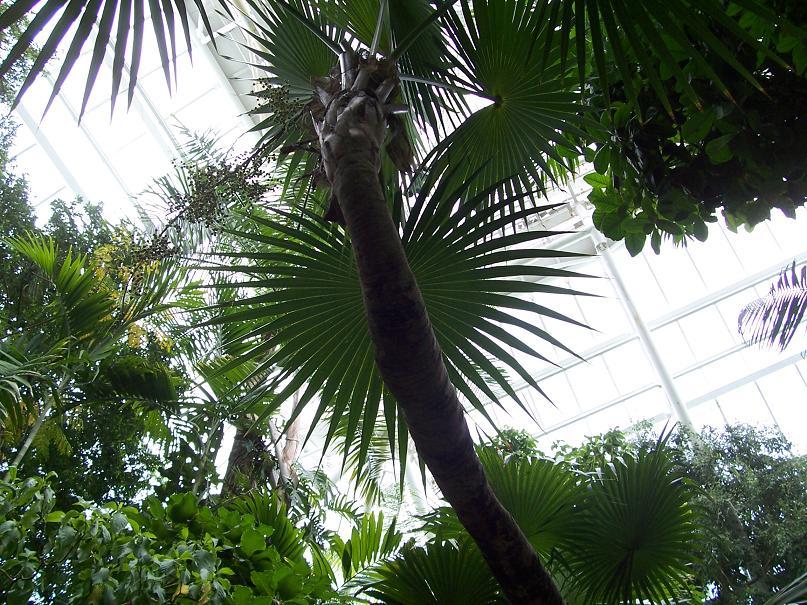 Foto de Galveston (Texas), Estados Unidos