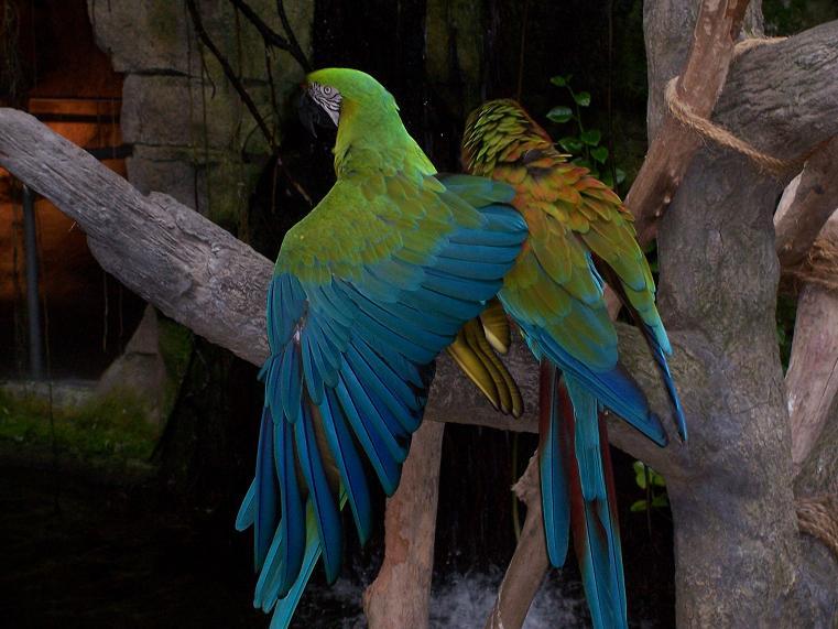 Foto de Galveston (Texas), Estados Unidos