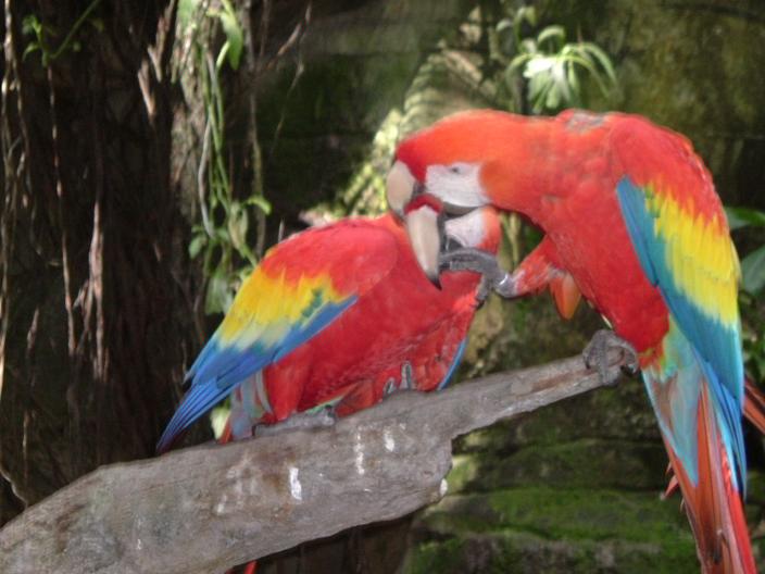 Foto de Galveston (Texas), Estados Unidos