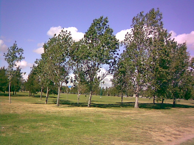 Foto de Buenos Aires, Argentina