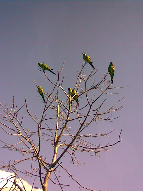Foto de Buenos Aires, Argentina