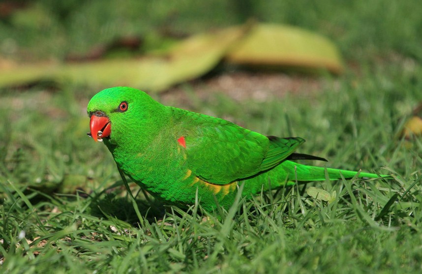 Foto de Barcelona (Cataluña), España