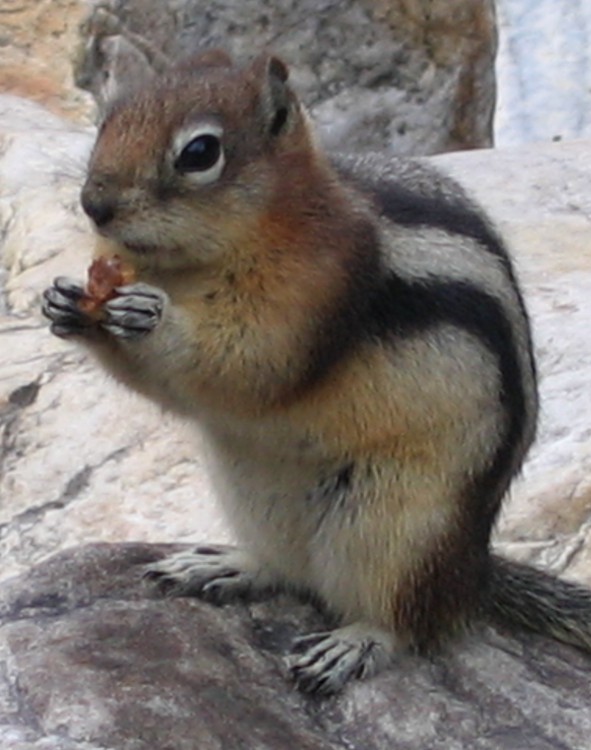 Foto de Barcelona (Cataluña), España