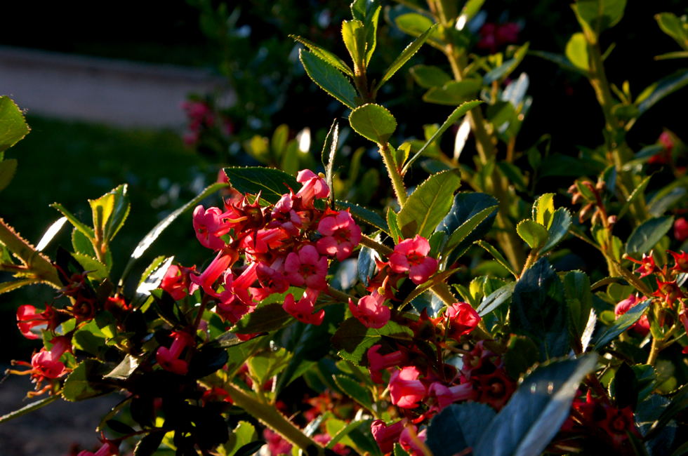 Foto de Madrid (Comunidad de Madrid), España