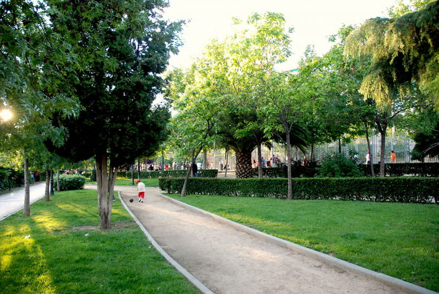 Foto de Madrid (Comunidad de Madrid), España