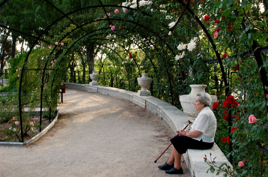 Foto de Madrid (Comunidad de Madrid), España