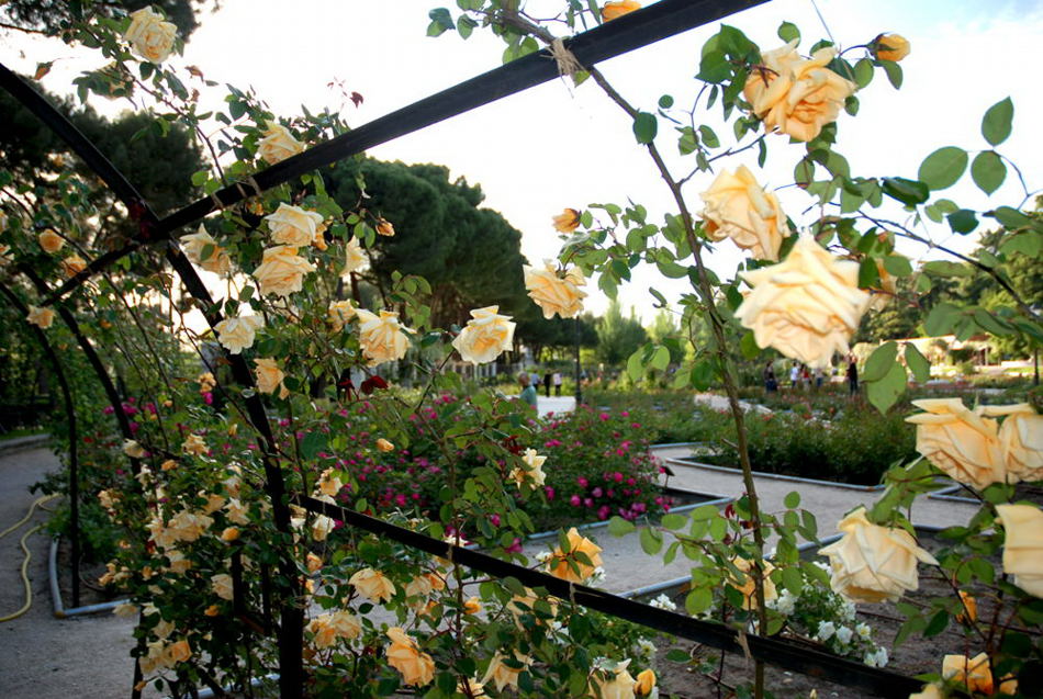 Foto de Madrid (Comunidad de Madrid), España