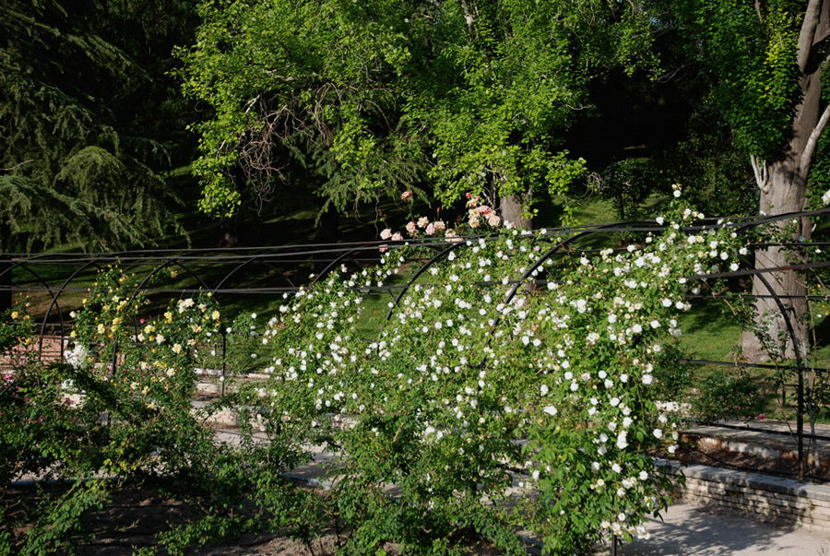Foto de Madrid (Comunidad de Madrid), España