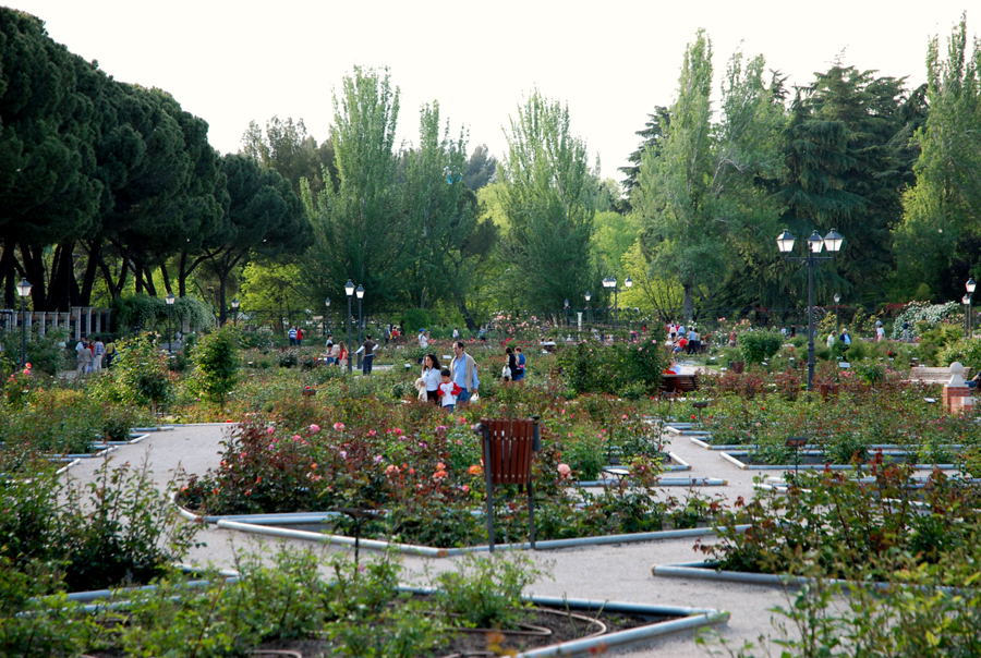 Foto de Madrid (Comunidad de Madrid), España