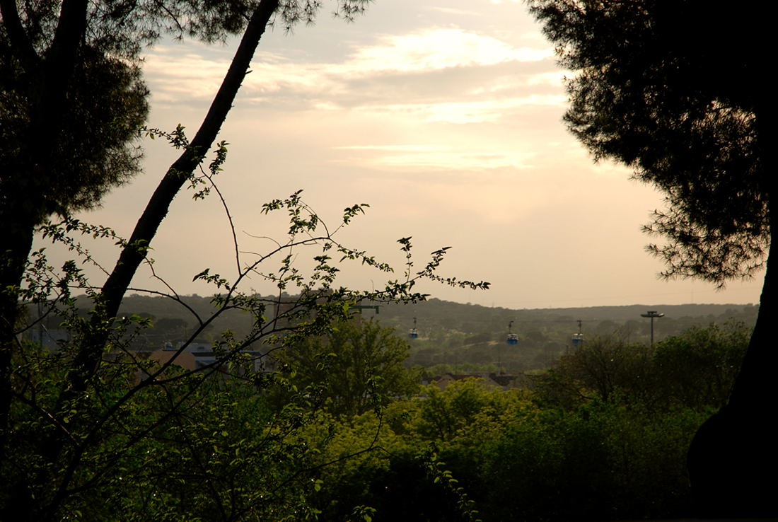 Foto de Madrid (Comunidad de Madrid), España