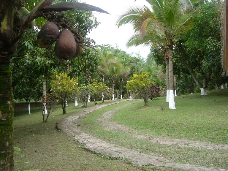 Foto de El Colegio, Colombia