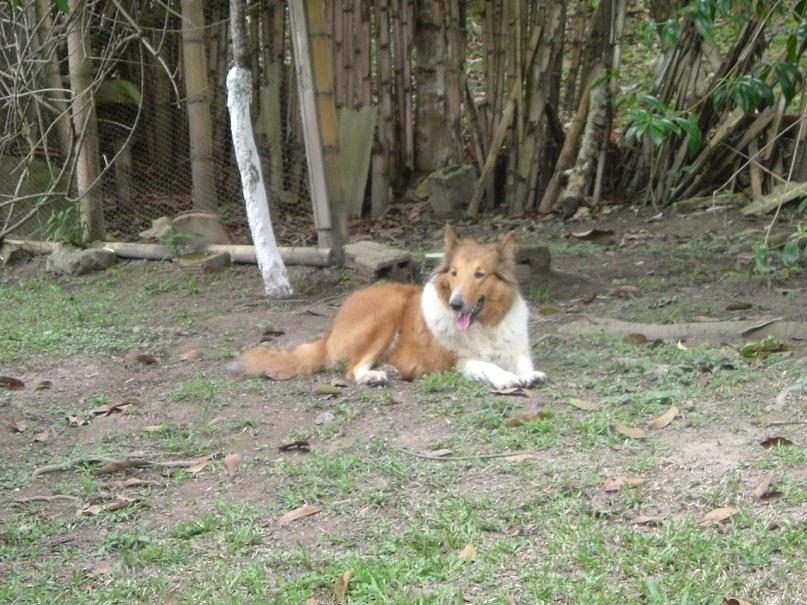 Foto de El Colegio, Colombia