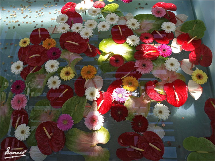 Foto de Zaragoza (Aragón), España