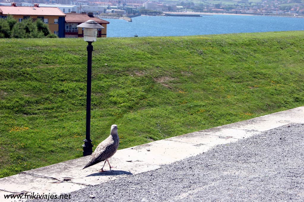 Foto de Gijón (Asturias), España