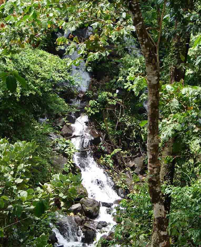 Foto de Upala, Costa Rica