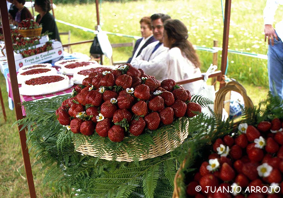 Foto de Candamo (Asturias), España