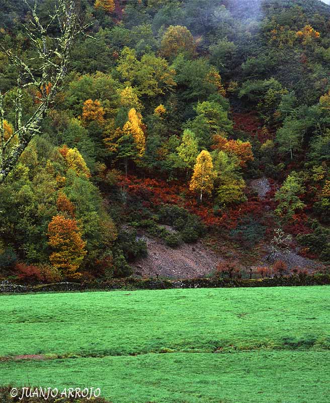 Foto de Cangas del Narcea (Asturias), España