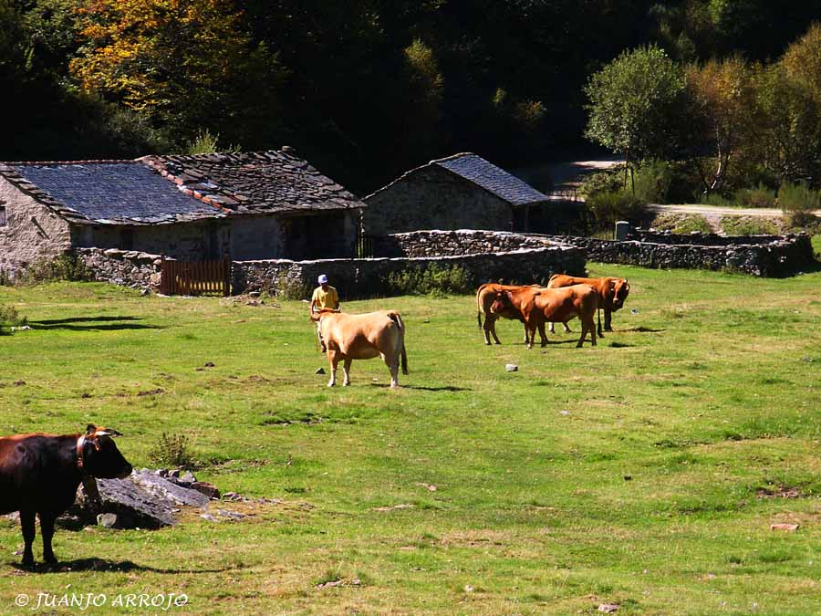 Foto de Cangas del Narcea (Asturias), España