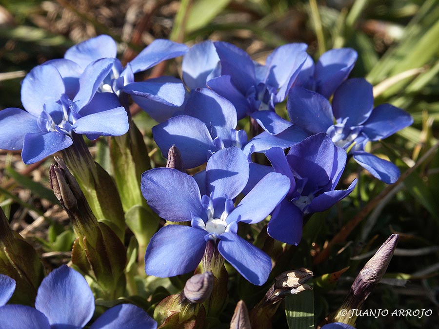 Foto de Asturias, España