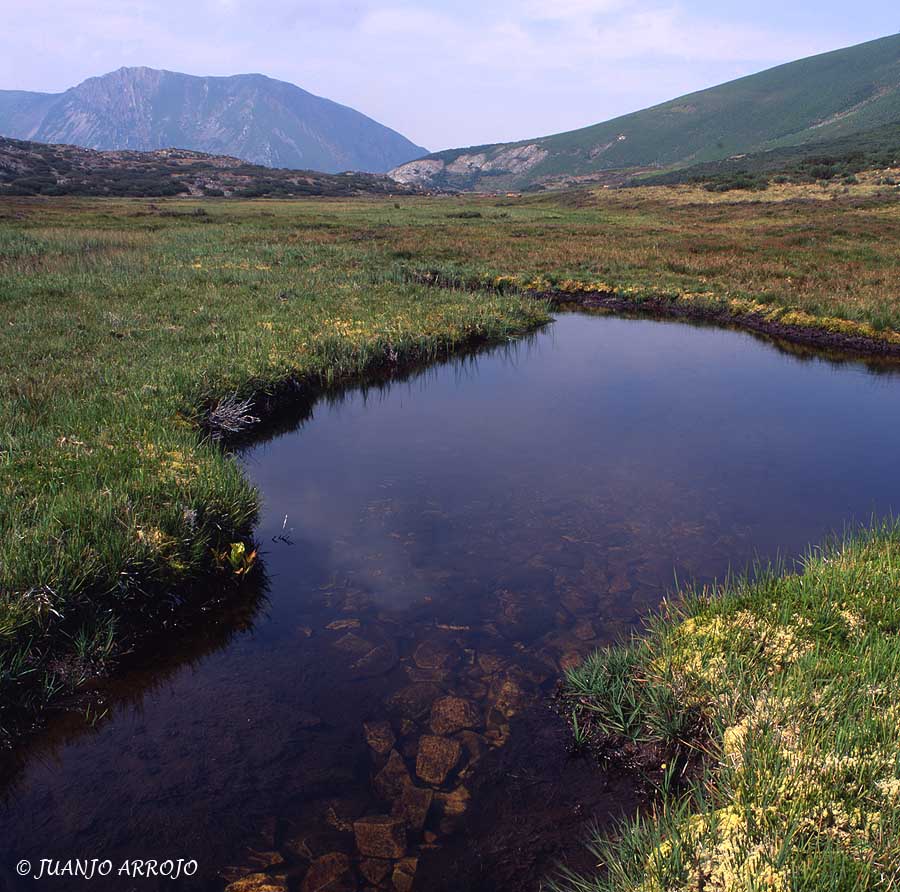 Foto de Cangas del Narcea (Asturias), España