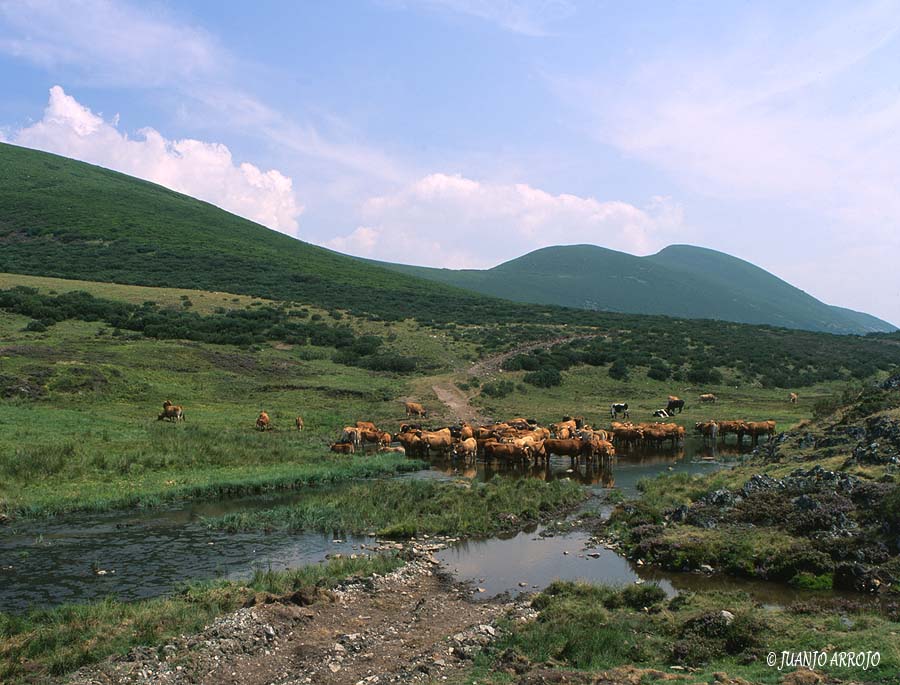 Foto de Cangas del Narcea (Asturias), España