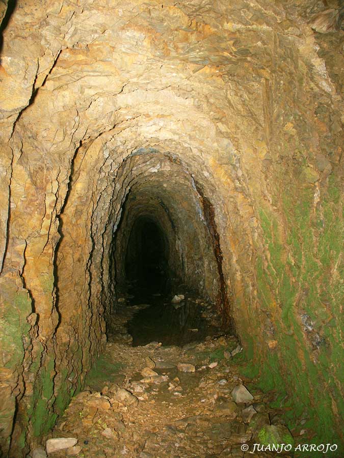 Foto de Cangas del Narcea (Asturias), España