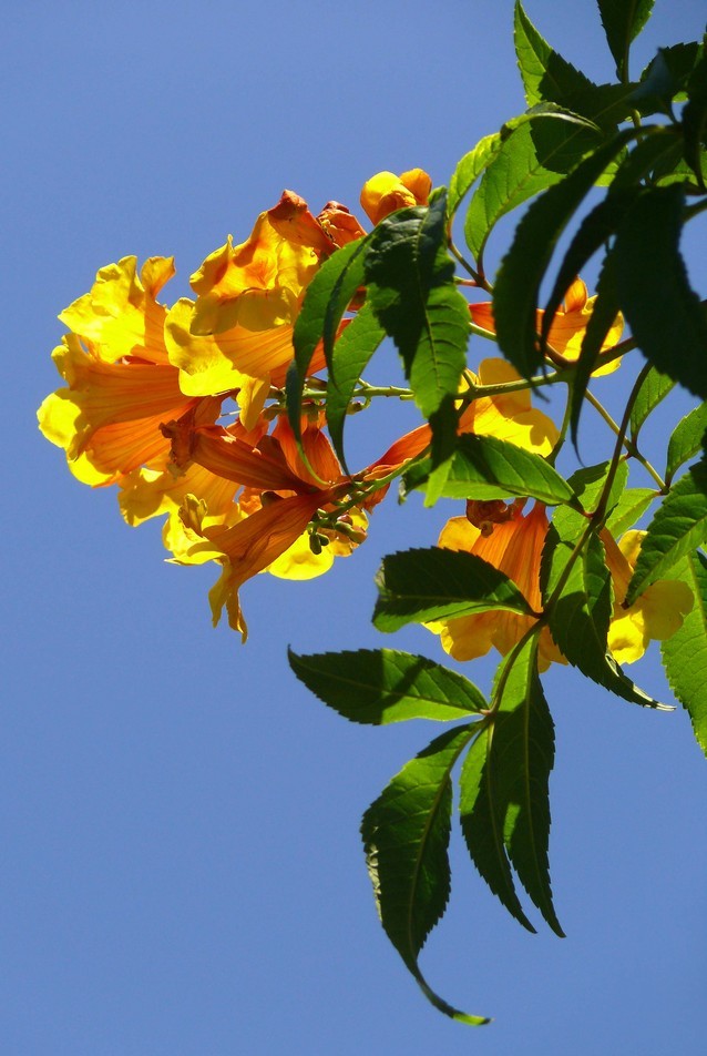 Foto de Barcelona (Cataluña), España