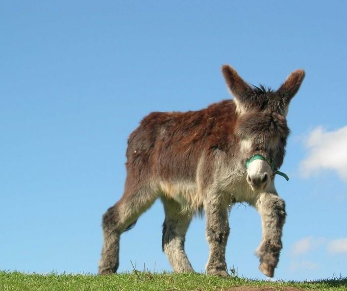 Foto de Etxalar (Navarra), España