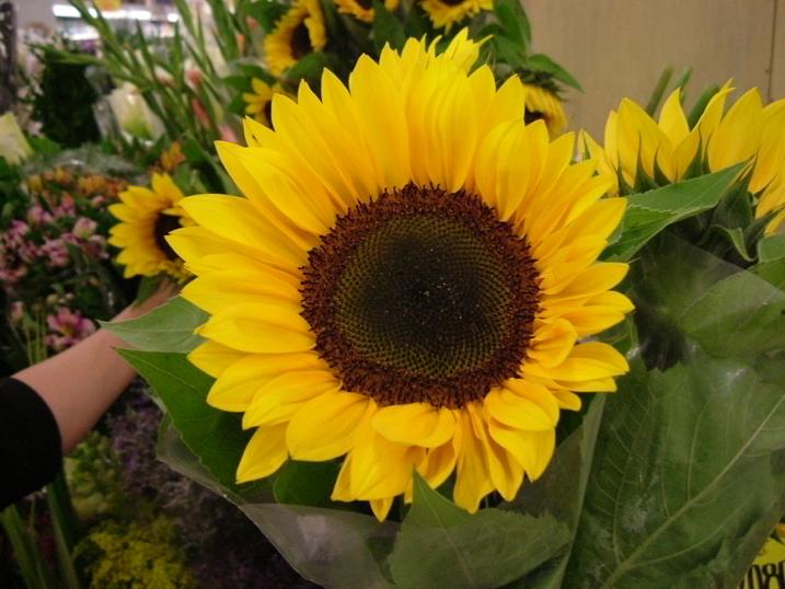 Foto de Bogotá, Colombia