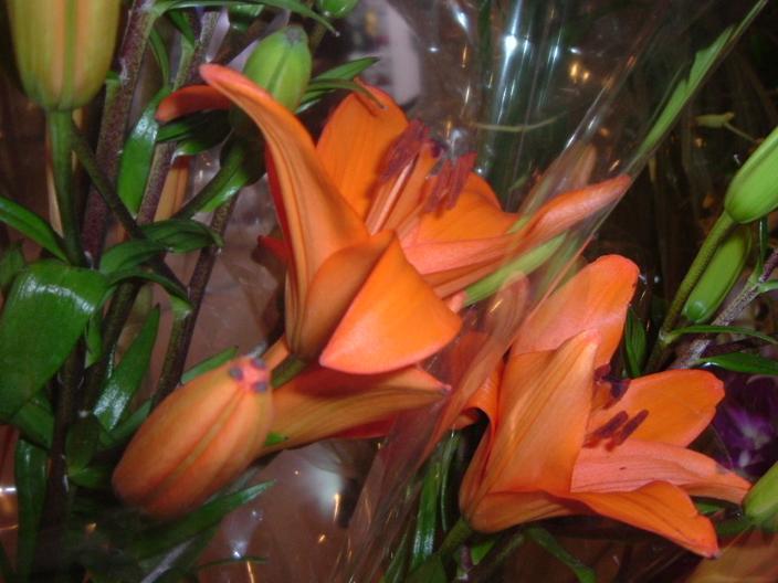 Foto de Bogotá, Colombia