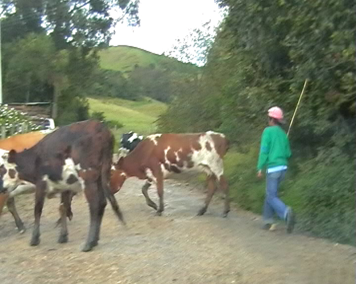 Foto de Villapinzón, Colombia