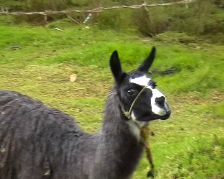 Foto de Villapinzón, Colombia