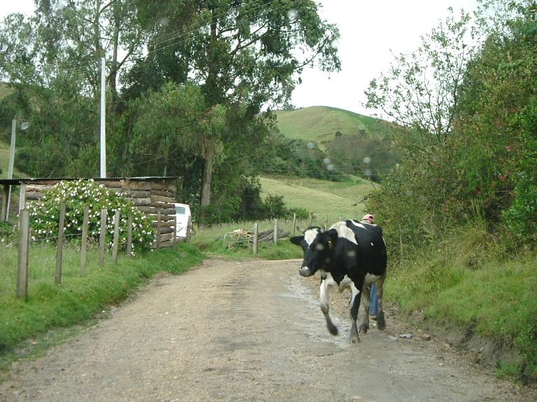Foto de Villapinzón, Colombia
