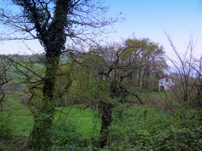 Foto de Llerana de Cayon (Cantabria), España