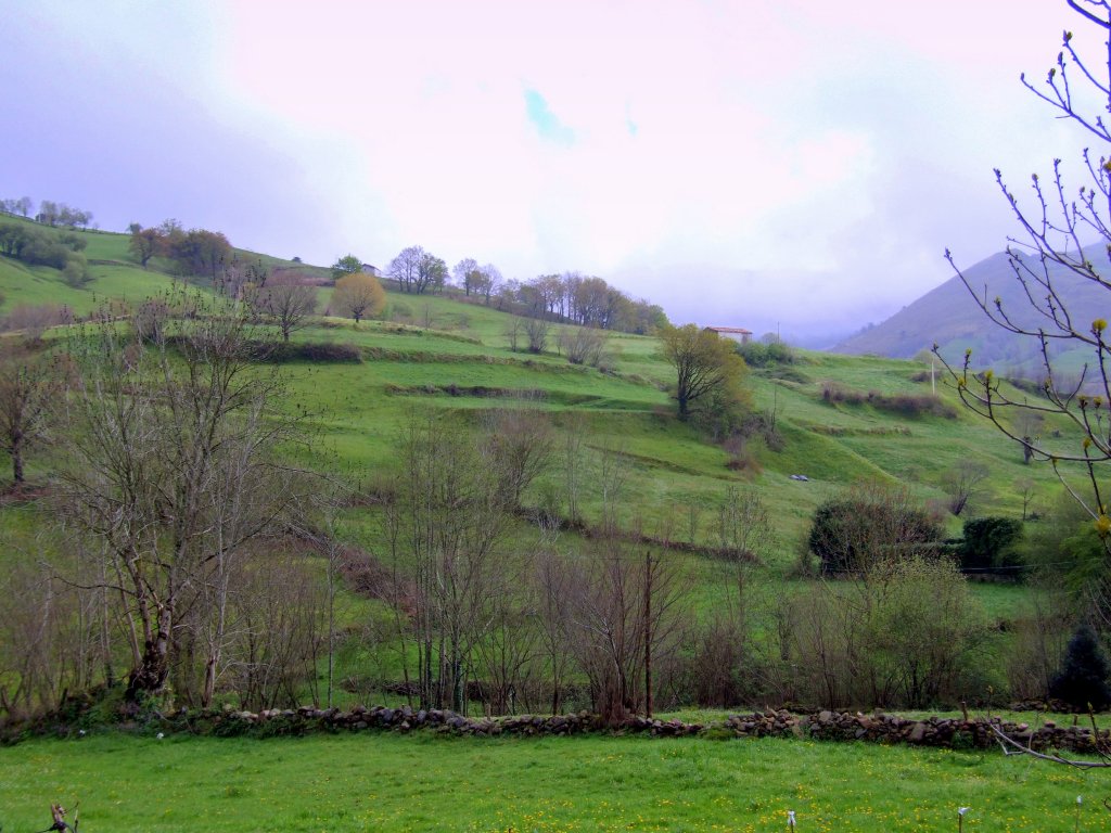 Foto de Llerana de Cayon (Cantabria), España