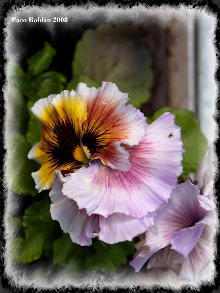 Foto de Helsinki, Finlandia