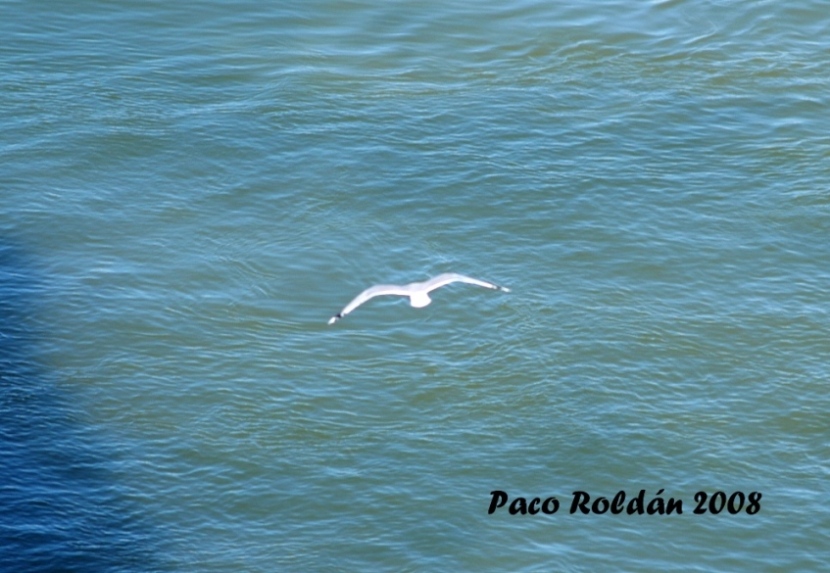 Foto de Helsinki, Finlandia