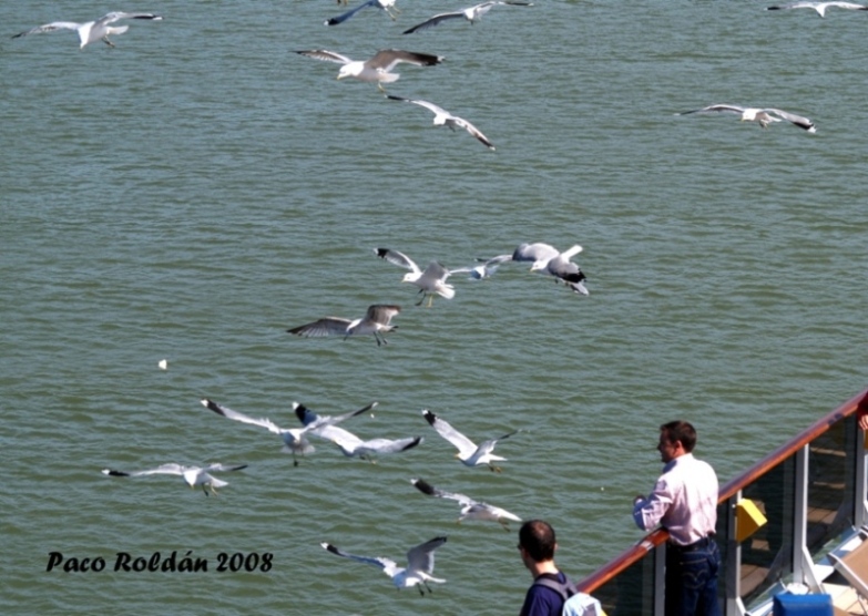 Foto de Helsinki, Finlandia