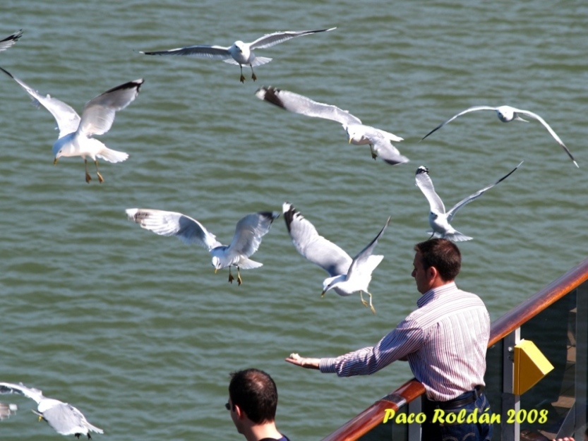 Foto de Helsinki, Finlandia