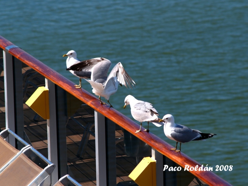 Foto de Helsinki, Finlandia