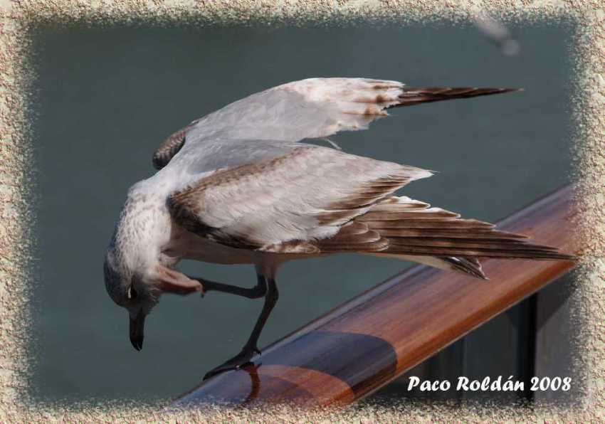 Foto de Helsinki, Finlandia