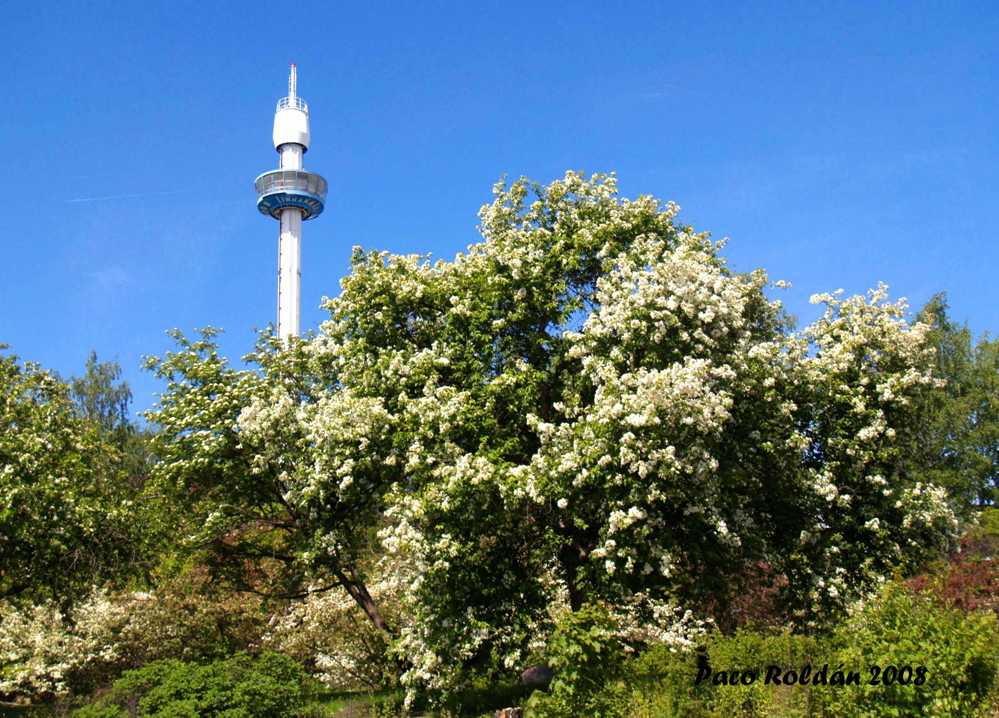Foto de Helsinki, Finlandia