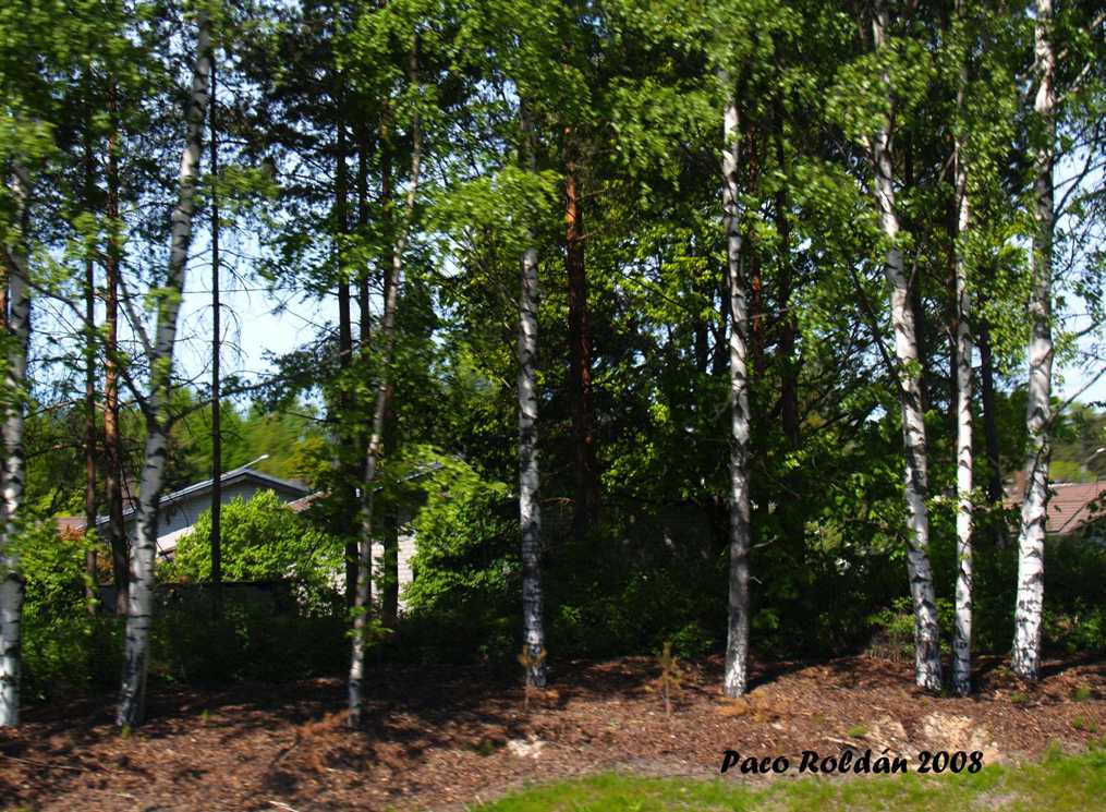 Foto de Helsinki, Finlandia