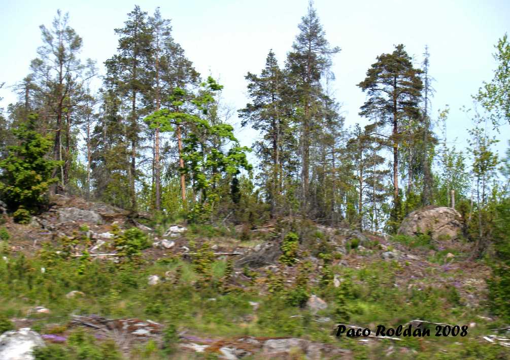 Foto de Helsinki, Finlandia