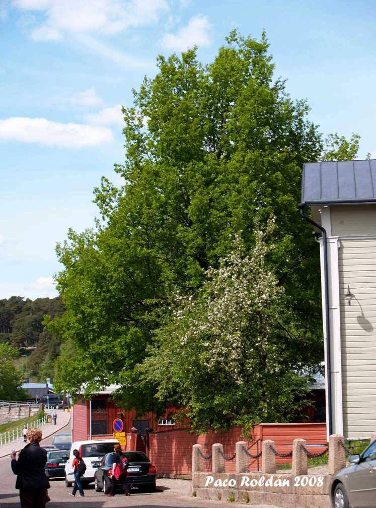 Foto de Porvoo, Finlandia