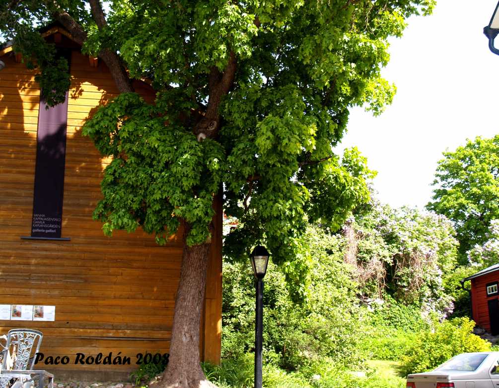 Foto de Porvoo, Finlandia