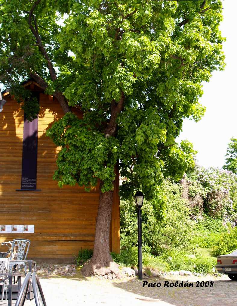 Foto de Porvoo, Finlandia