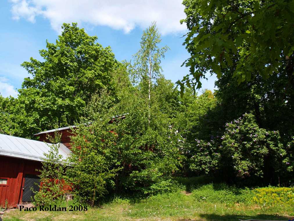 Foto de Porvoo, Finlandia