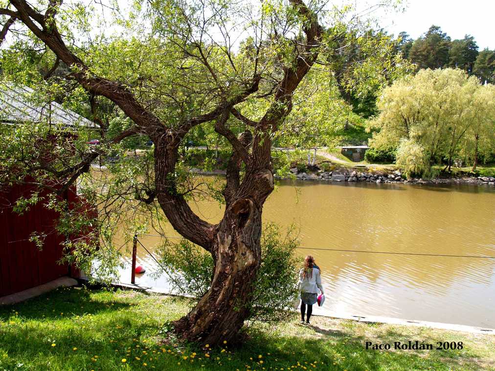 Foto de Porvoo, Finlandia
