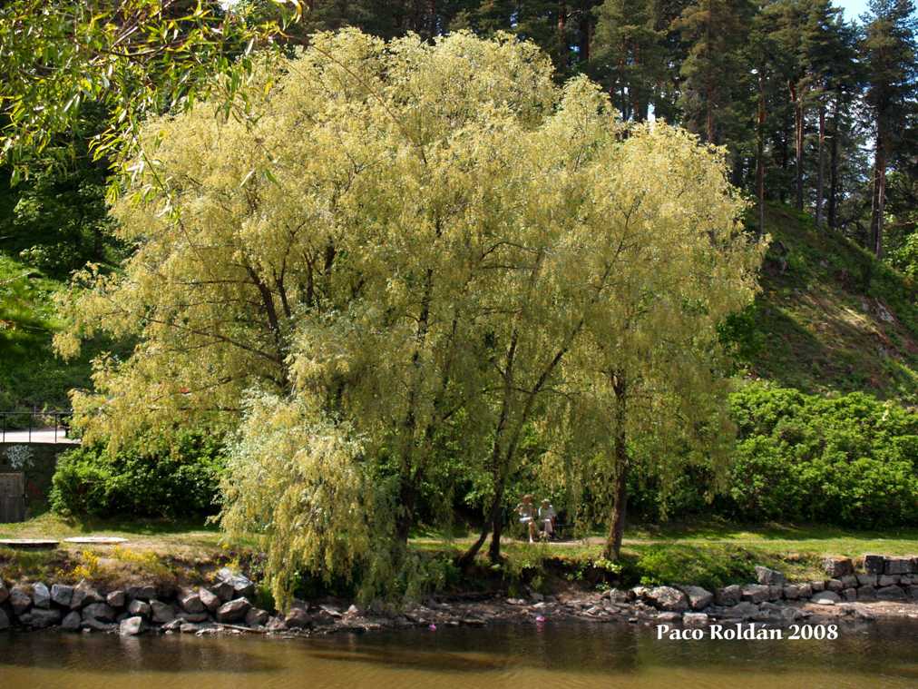 Foto de Porvoo, Finlandia